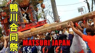 宮出し！水交團 担ぎ屋台！2018年 鴨川合同祭 八雲神社 - Kmogawa Joint Festival Yagumo Shrine