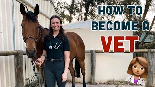 HOW TO BECOME A VETERINARIAN // Q\u0026A with an Equine Veterinarian