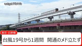 台風19号で被害を受けた日野橋　開通の予定はなし。