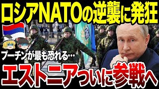 【ゆっくり解説】ロシアが最も恐れる国「エストニア」がついに参戦へ！？NATOの逆襲にプーチン発狂。