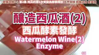 原創 純釀造(全過程) 西瓜酒(2)_西瓜酵素發酵CC 天然發酵Watermelon enzymeスイカ酵素Enzima de sandía [愛釀造醋7-2]台灣南庄豐英醋