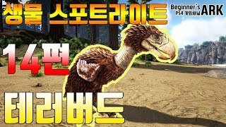 [비기너스 아크] ARK : SURVIVAL EVOLVED 생물 스포트라이트 - 14편 테러버드