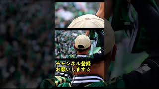 【松本山雅FC】サポーターを残響散歌に合わせてみた #shorts #jリーグ  #30周年