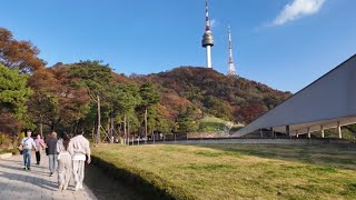 🍂🚶남산공원 둘레길 산책 2024.11.02