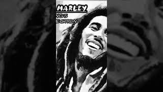 Bob Marley  Three Little Bird 🐦