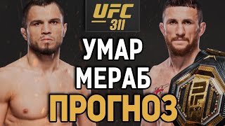 БОЙ БУДЕТ БЛИЗКИМ?! Умар Нурмагмедов vs Мераб Двалишвили /  Прогноз к UFC 311