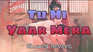 Tu Hi Yaar Mera - Slowed + Reverb l Arijit Singh, Neha Kakkar l Pati Patni Aur Woh l Music & Lyrics