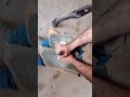 difficult hoof trimming and shoeing