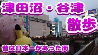 【津田沼・谷津散歩】Vol.4　かつては日本一があった街　街ぶら　おそとだいすき