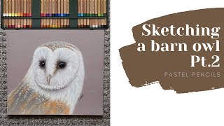 Barn Owl Part 2 | Pastel Pencils