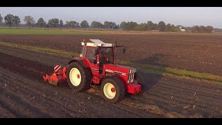 International 956 XL | Grondbewerking | Cultiveren | Frezen