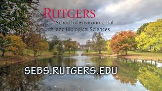 How to Use Rutgers Degree Navigator