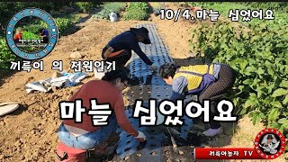 끼륵이 의 전원일기.마늘 심었어요.끼룩아놀자 TV