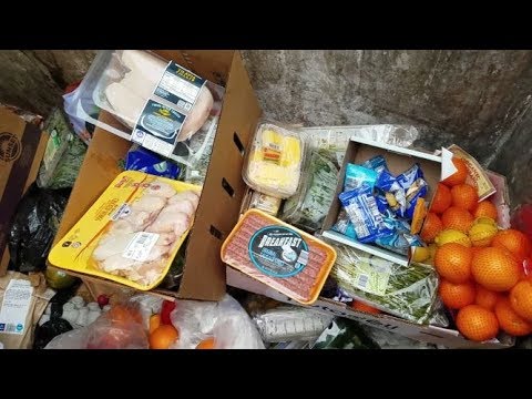 Dumpster Diving Aldi Daily Video 19 Youtube