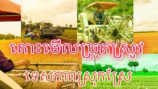 តោះច្រូតស្រូវ ហើយមើលទេសភាពស្រុកស្រែ| Life of Farmer