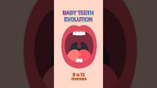 BABY TEETH EVOLUTION #humandevelopment