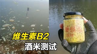 酒米加維生素B2究竟有沒有效果？水下測試揭露真相，看一遍全明白