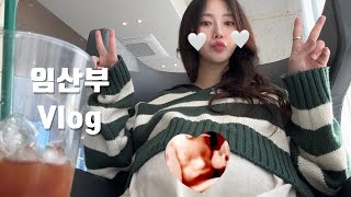 임신 Vlog | 27주~30주차 임산부 일상 브이로그 | 임당산모의 하루 🧑🏻‍🎄