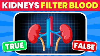 Only 1% Can Pass This Human Body Quiz! 🧠🩻 | Test Your General Knowledge