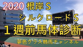 【馬体診断】2020根岸ステークス\u0026シルクロードステークス！モズアスコットがダートに参戦。適性よりも？