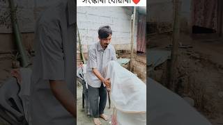 দুষ্ট বোৱাৰী VS সংস্কাৰী বোৱাৰী Subscribe কৰি দিব ভাল লাগিলে❤️