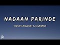 NADAAN PARINDE (LYRICS) || ROCKSTAR || MOHIT CHAUHAN || A.R RAHMAN || P&P MUSIC