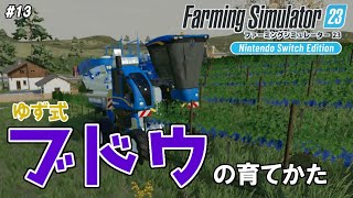 ブドウ畑を購入する！スイッチ版ファーミングシミュレーター23 #13【Farming Simulator 23 Nintendo Switch Edition】