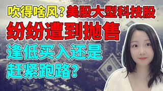 美股科技龙头们遭遇抛售！节日行情不香了吗？PLTR为啥股价遭遇冷板凳？NaNa说美股(2021.11.23)