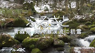 【4K】ふるさと　青森県 奥入瀬渓流に初雪