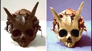 5 Most Amazing Ancient Artifact Discoveries To Blow Your Mind
