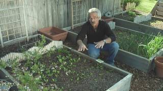 GGTV - Thinning Veggies @ gardenerguy.com