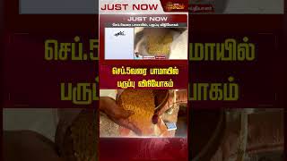 செப்.5 வரை பாமாயில் பருப்பு விநியோகம்.. | #palmoil | #dal | #rationshop | #newstamil24x7