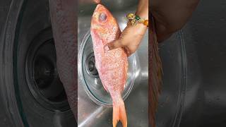 easiest way to clean red Snappers/how to clean fish #ghana #food #shorts #viral #freefire #views