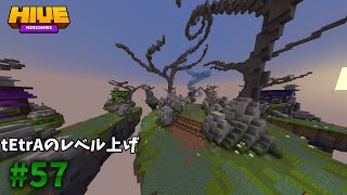 tEtrAのレベル上げ#57【Minecraft】【ゆっくり実況】