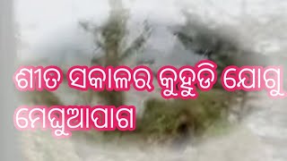 ଶୀତ ସକାଳର କୁହୁଡି ଯୋଗୁ 🌁🌁🌁🌁👍