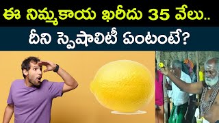 ఈ నిమ్మకాయ ఖరీదు 35 వేలు..In a Lemon Auction lemon was sold at 35K|Know the its quality | TeluguPost