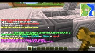Minecraft - WorldGuard Tutorial - Flag Global