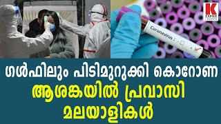 ഗള്‍ഫിലും പിടിമുറുക്കി കൊറോണ;ആശങ്കയില്‍ പ്രവാസി മലയാളികള്‍| karma news