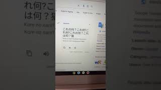 Really Translate Google Is A Song