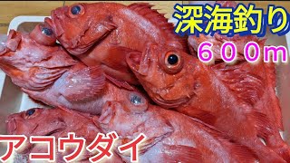 南紀【大宝丸】さんに乗船で深海釣り！水深６００Ｍからの小さなシグナルはアコウダイだ～