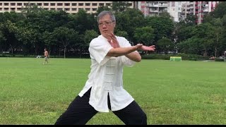 Kenny Leung 老架一路 第一段 (4K高清)・Chen Style Taiji Laojia Yilu  (First paragraph)