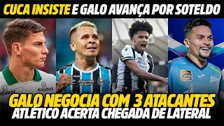 EXCLUSIVO: CUCA PEDE E GALO AVANÇA POR SOTELDO • LATERAL ACERTADO • REUNIÃO BATTAGLIA |NOTÍCIAS GALO