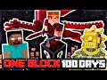 I Survived 100 Days in MODDED ONE BLOCK HARDCORE...