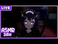🔴【3DIO ASMR】Cozy Catgirl Cuddles You to Sleep 🐱💤 Soft Whispers & Comfort