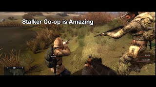 Stalker Co-op Is Amazing