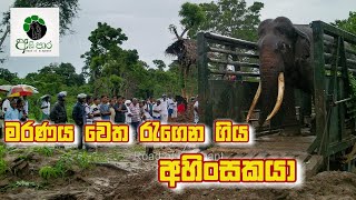 මරණය වෙත රැගෙන ගිය ගමන