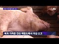 군 dmz 헬기 방역…최전방에