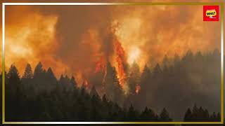 The Impact of Climate Change on Global Weather Patterns