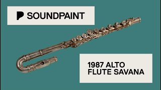 Soundpaint - 1987 Alto Flute Savana Sample Library for $20!