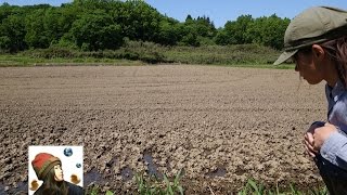 田んぼに水を入れる⑴ 30代女ひとりで田んぼの入水式｜Rice farming